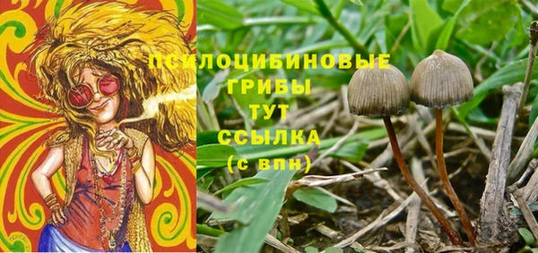 круглые Арсеньев