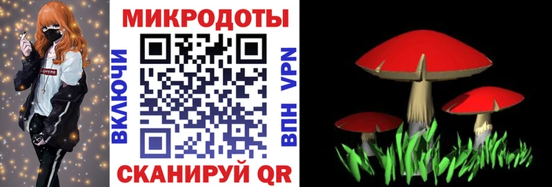Галлюциногенные грибы Magic Shrooms  Дзержинск 