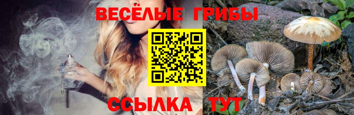 Галлюциногенные грибы Psilocybine cubensis  Вход с VPN  Галлюциногенные грибы мицелий  Дзержинск 